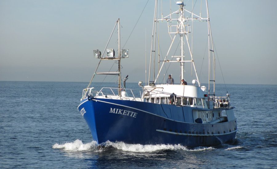 Fishing Boat for Troll Caught Albacore Tuna